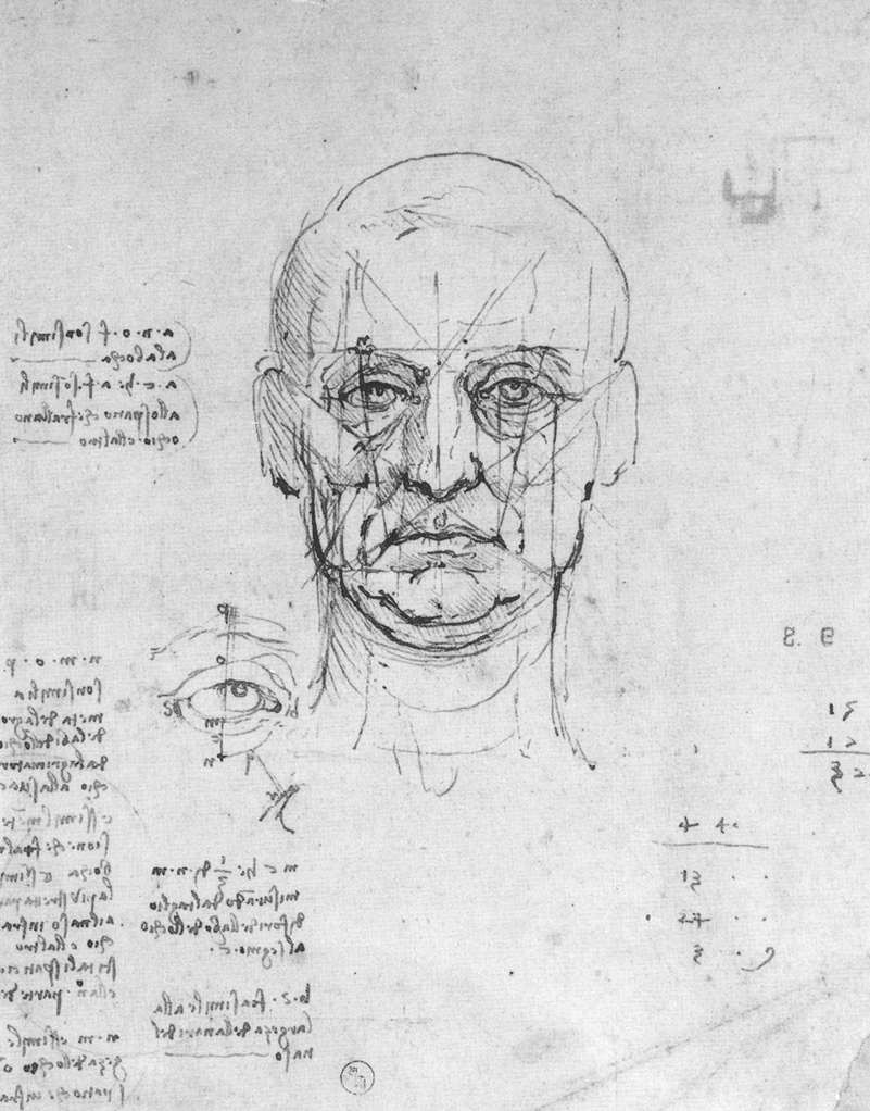 Bases Cerebrales del procesamiento de caras