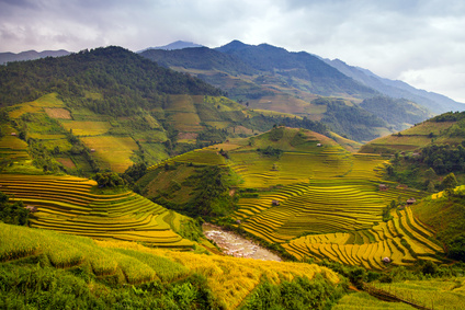 La agricultura en China