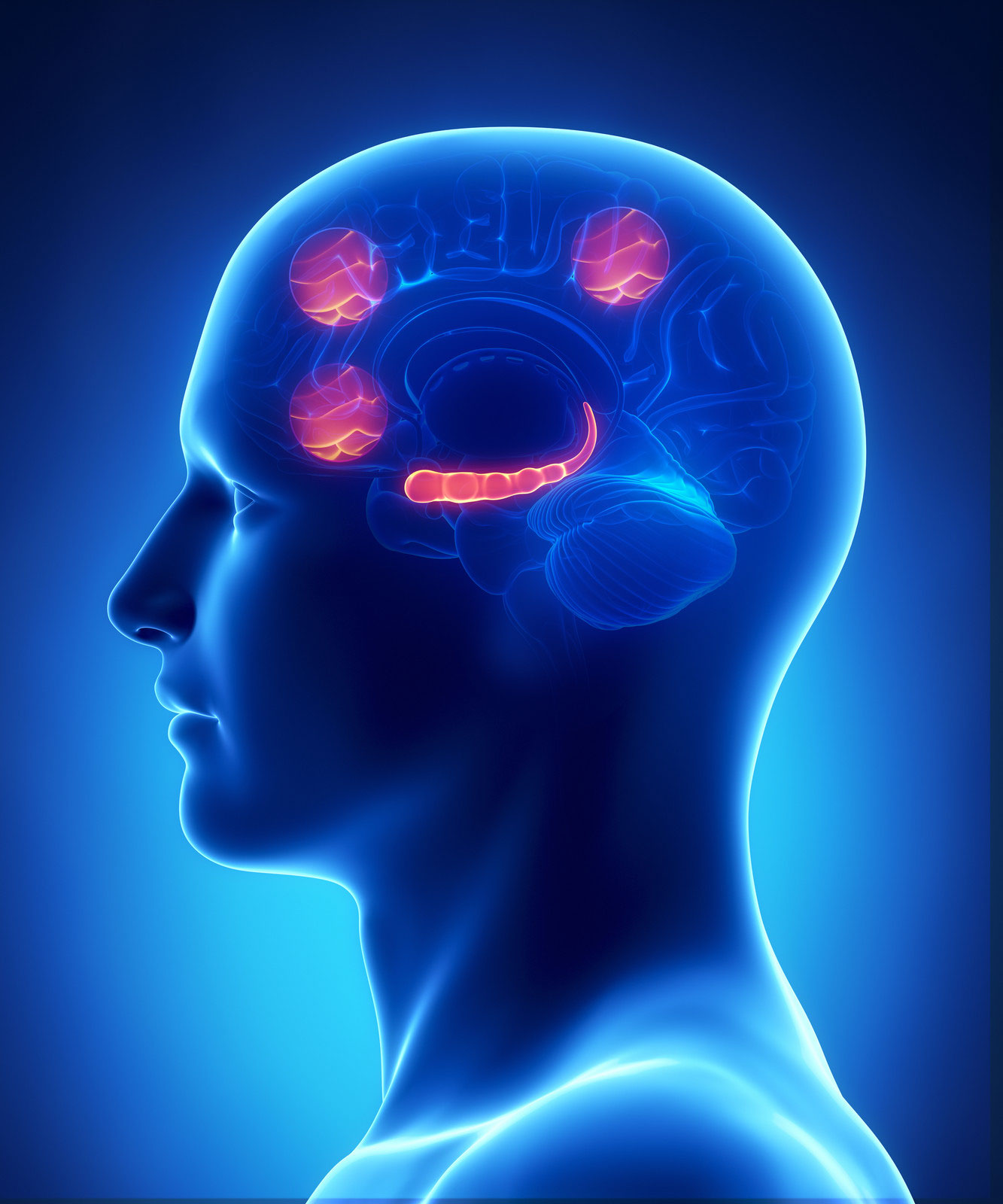 Modelos neuropsicológicos e instrumentos de evaluación de la memoria semántica